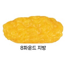 체지방 모형 병원교육 지방 덩어리 1kg 근육 교육 시각자료 교육용 자료 전시 모델, E. 8파운드 긴 지방모형