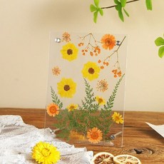 투명 1p sotwo 사진액자 인테리어 아크릴액자 꽃말리기 액자 인테리어액자, 본상품, 본품