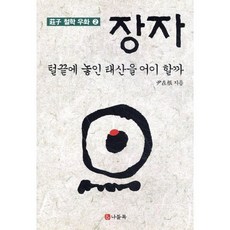 장자: 털끝에 놓인 태산을 어이할까, 나들목, 윤재근 저
