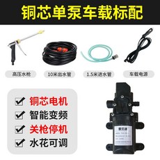 普蘭迪 車載高壓水槍洗車泵 銅芯單泵+毛刷+整理箱, 銅芯單泵 車載款標配