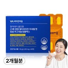 비타민마을 원어데이 올인원 23종 종합 멀티비타민 미네랄 앤 칼슘 마그네슘 컴플렉스, 1개, 60정