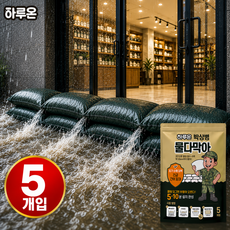 [국산] 장마대비 차수막 플러드백 박상병 물다막아 /침수대비/수행방지 물막이 방수 수방포대 차수판, 5개