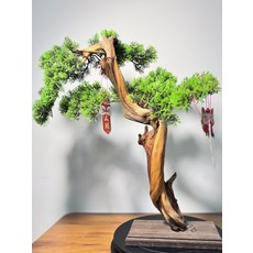 太行崖柏 迎客松 高度45cm 寬度37cm, 如圖所示, 1個