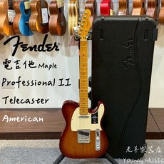 老羊樂器店 美廠 Fender Professional 2 Telecaster 電吉他 夕陽漸層楓木指板, 1個, 漸層色