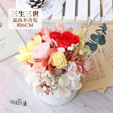 極度花燥 三生三世 永生花 桌花, 【三生三世】小桌花,一份一個