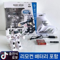 체감 조종 격투로봇 배틀 변신 RC 대결봇 2인 대전 완구, 공식 표준 포장, 1개, 화이트 로봇 1대