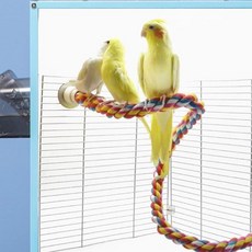 꿈꾸는비 컬러 로프 횃대 60cm 휴식공간