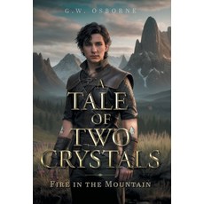 (영문도서) Fire in the Mountain Hardcover, FriesenPress, English, 9781039196353