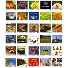 Big Science 大科學兒童自然科學月刊 全套彩色平裝 圓角 小書60冊 中英雙語