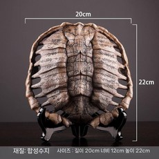 공룡 화석 모형 장난감 뼈 티라노사우루스 장식 공룡화석 화석모형 소품, K.센드 브래킷)