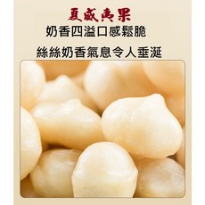 原味夏威夷果 澳洲頂級原果 低溫烘培素燒火山豆, 1個, 原味300克