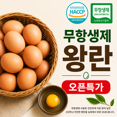 자연그대로 무항생제 계란 신선한 왕란, 1개, 30구