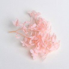 화연양화 프리저브드플라워 수국 1g 30색, 02 페일핑크