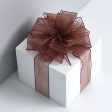 리본리에 무지 오간디 리본 끈, 25mm(50yd), 15.연밤색