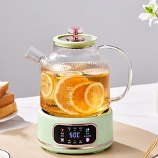 내열유리 대용량 전기 티포트 스텐 보온포트 차탕기, 녹색