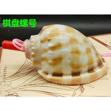 나각 뿔나팔 대형 뿔피리 소라 껍데기 호루라기 뱃고동, 연한 갈색 8-10cm 바둑판 달팽이 수