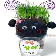 식물 재배 키트 씨앗 화분 성장 새싹 재배 키트 잔디 과학실험 수경재배 가드닝 유치원 기르기 실험용