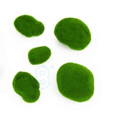 빅토 10입 이끼 돌 세트