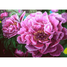 모모픽스페인팅 DIY명화그리기 60x75cm, WK20   화려한 모란꽃, 1개