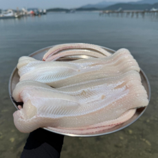 통영 국내산 산지직송 손질 바다장어 특대, 1개, 1kg(2~3마리)