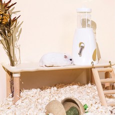 스탠드형 급수기+거치대 세트, 화이트, 1개