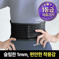 올바인 의료용 보호대연구소가 판매하는 허리보호대 1등급 의료기기 AL-A04 블랙, 1개