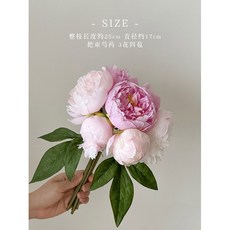 인테리어화병 꽃무늬 도자기 꽃병 꽃꽂이장식, 진분작약