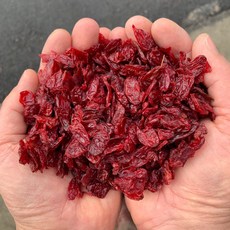 구례 산동 산수유(씨 제거 후 말림) 2025년 말 생산, 1개, 500g(특상)