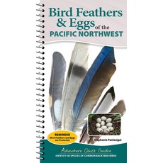 (영문도서)Bird Feathers & Eggs of the Pacific Northwest: Identify 40 Species of Common Backya... Spiral, Adventure Publications, English, 9781647556648