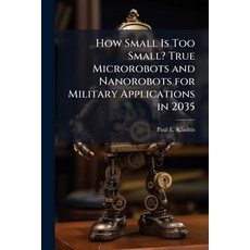 (영문도서)How Small Is Too Small? True Microrobots and Nanorobots for Military Application... Paperback, Hutson Street Press, English, 9781025115054