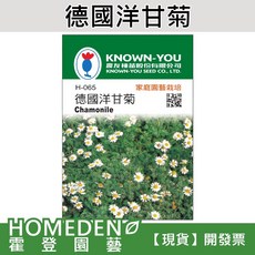 農友種苗 KNOWN-YOU 德國洋甘菊種子 H-065 家庭園藝栽培, 1包