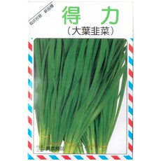 得力大葉韭菜種子，家庭園藝蔬菜種子，新手易種植，健康無農藥, 1個