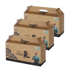 김오곤원장의 기력보 12가지 한약재 십전대보 진액 액기스 건강즙, 70ml, 90개