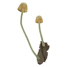 버섯 수저받침대 젓가락홀더 세트 티슈 장식, 높이  7cm, 섹션 D