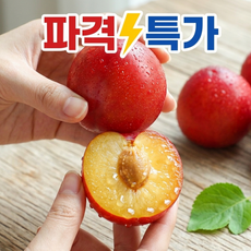 [파격특가] 산지직송 고당도선별 과즙폭발 대석자두, 1박스, 1kg (35과 내외)