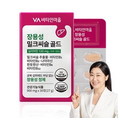 비타민마을 장용성 밀크씨슬 골드 27g, 30정, 1개