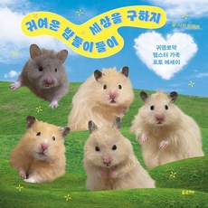 귀여운 밤톨이들이 세상을 구하지:귀염뽀짝 햄스터 가족 포토 에세이, 포르체, 한채영