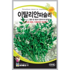 세계종묘 이탈리안 파슬리 씨앗 200립, 1개