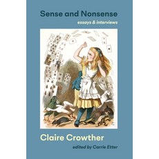 (영문도서) Sense and Nonsense: essays and interviews Paperback, Shearsman Books, English, 9781848619470