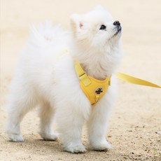 로이벤 편안한 베이직 하네스 + 리드줄 분리형 세트, 1개, 옐로우