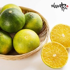 [산지직송]하우스 청귤 500g1팩, 단품, 단품