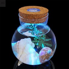 올샵플러스 수초 키우기 마리모 키우기 LED 유리병