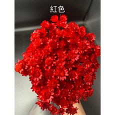 花藝夢*日本進口大地農園乾燥花小星花小雛菊繁星花迷你花束 (散裝一份約20支)，打造浪漫居家風格, 321 紅色