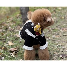 HIKOINU 寵物背帶吊飾 項圈吊飾 - 兔寶寶, 1個