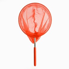 길어지는 안테나 잠자리채 곤충채집망