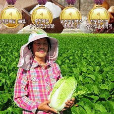 [6월 출고가능]무르지않고 맛있는 괴산절임배추 20k, 20kg, 1개, 배송요청사항에 희망도착일 기재