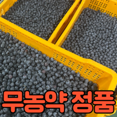 정품 특품 무농약 생 블루베리, 1박스, 200g (14-16mm)