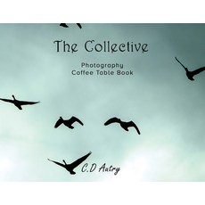 (영문도서)The Collective: Photography Coffee Table Book Paperback, Preston Squire Publishing, English, 9781990078835