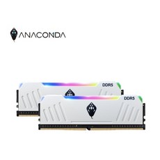 ANACONDA DDR5 記憶體, 1個, 白 32GB (16GBx2)