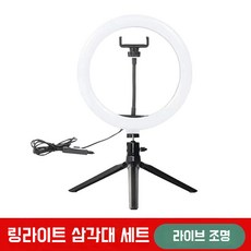 LED 링라이트 3단 색온도 셀카 라이트 유튜브 라이브 방송 조명 26CM, 1개, 링라이트26CM